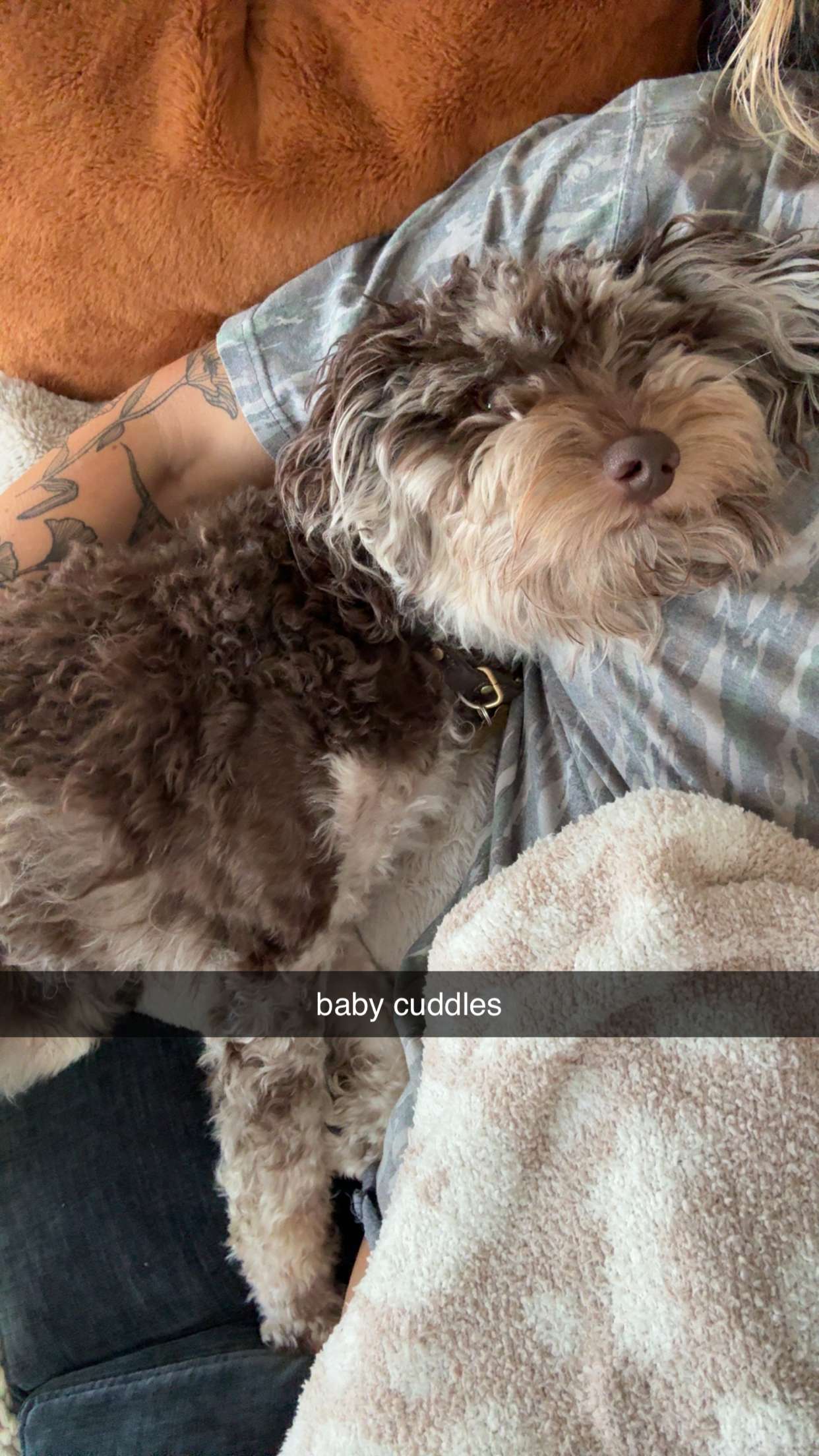 abigailwhhitee snapchat image archive image