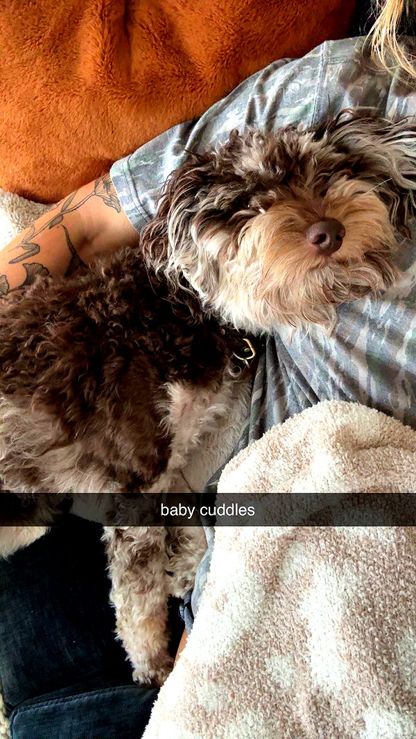 abigailwhhitee image ~ Altpins