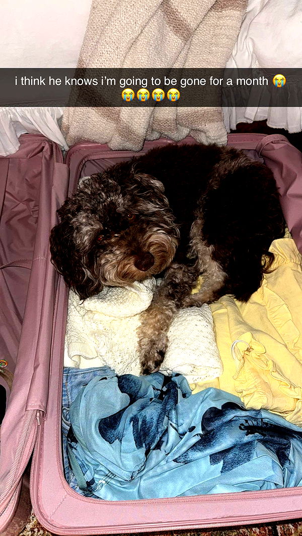 abigailwhhitee image ~ Altpins