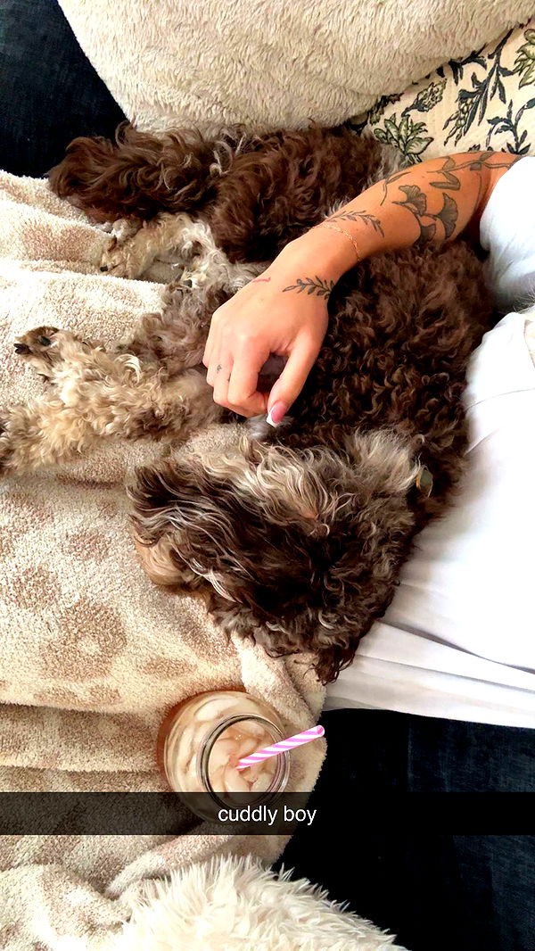 abigailwhhitee image ~ Altpins