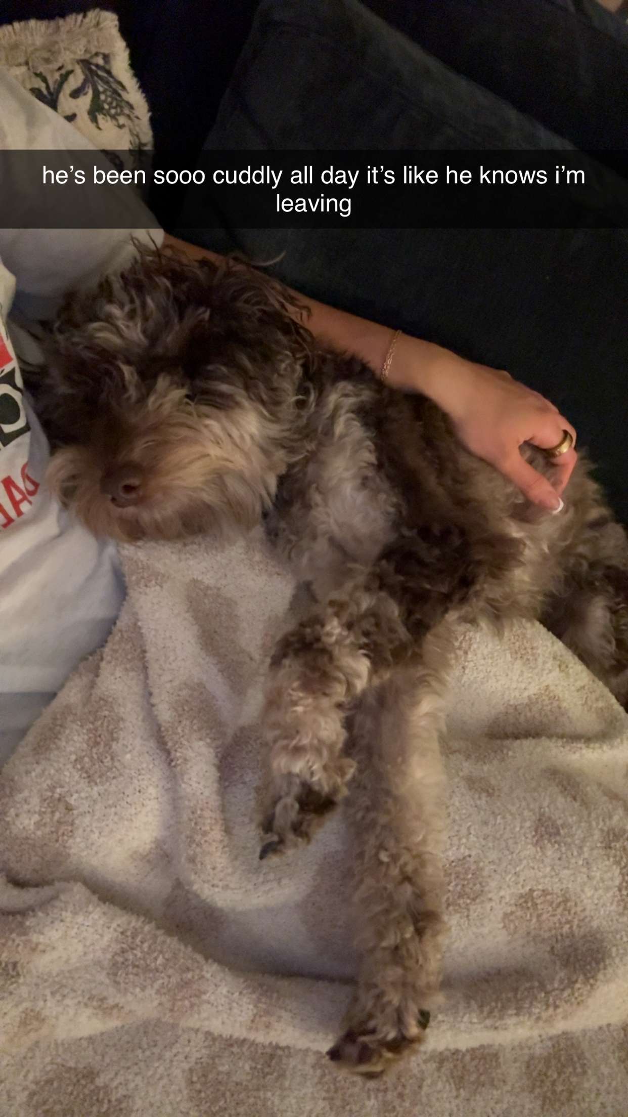 abigailwhhitee snapchat image archive image