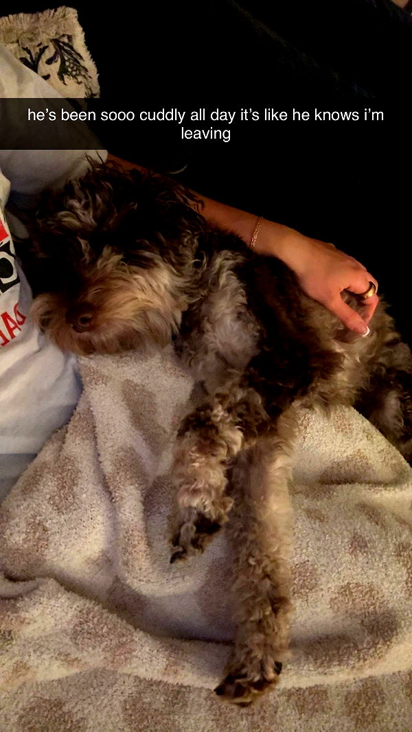 abigailwhhitee image ~ Altpins