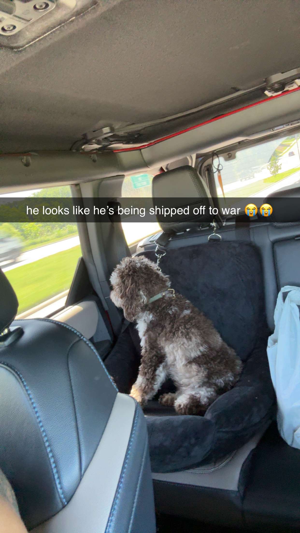 abigailwhhitee snapchat image archive image