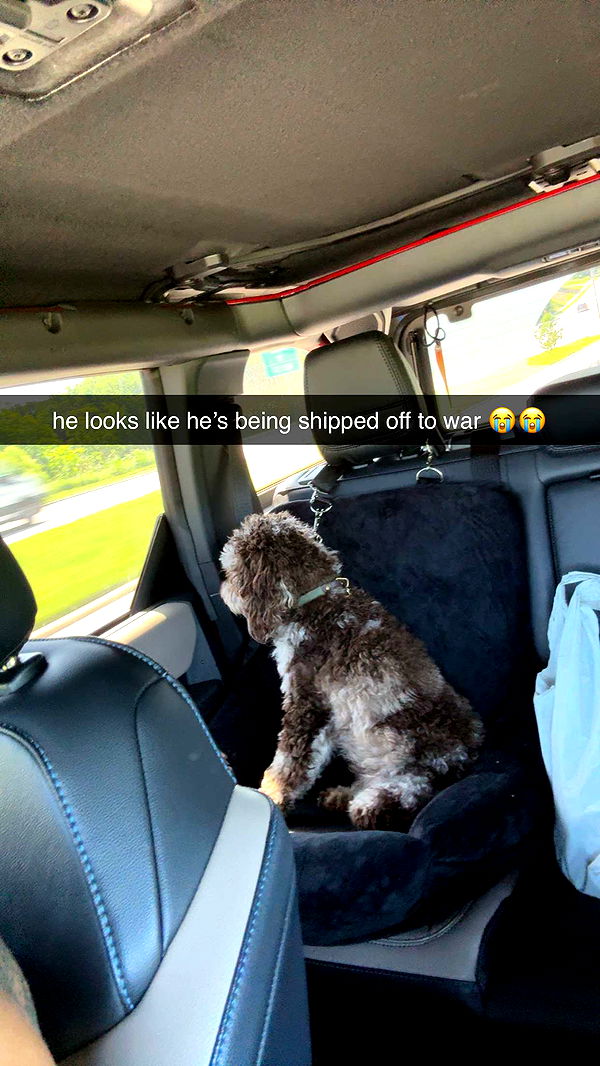 abigailwhhitee image ~ Altpins