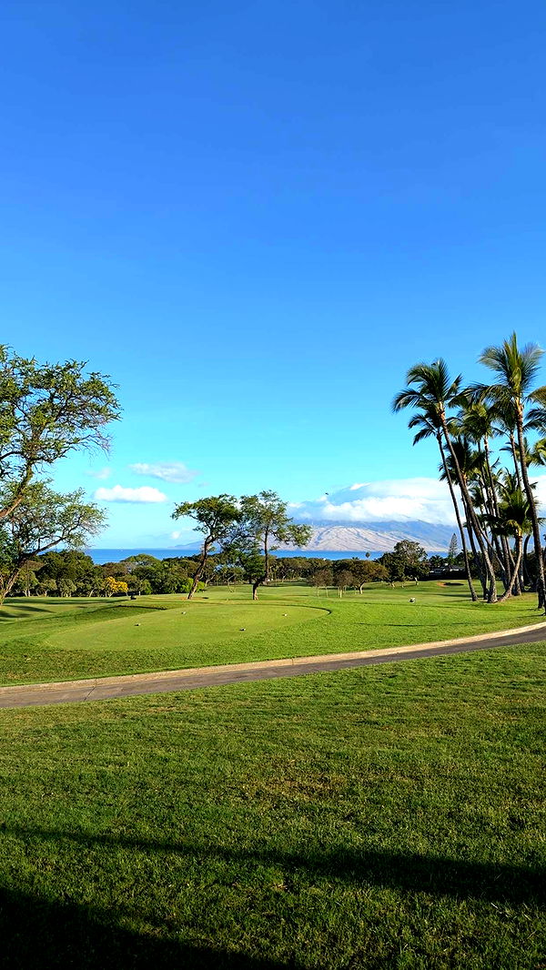 abigailwhhitee image ~ Altpins