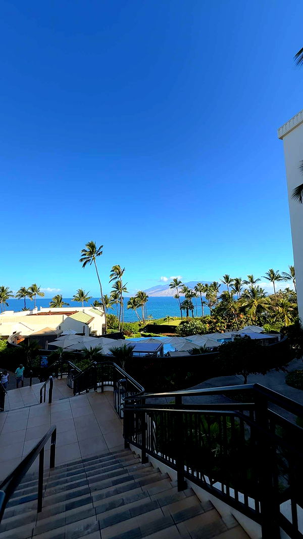 abigailwhhitee image ~ Altpins