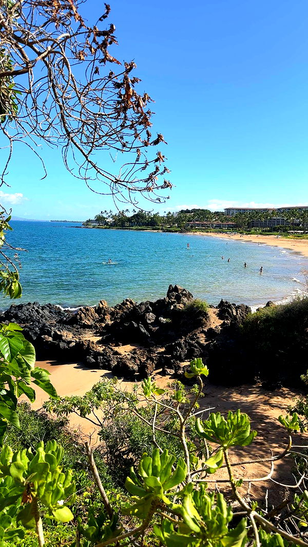 abigailwhhitee image ~ Altpins