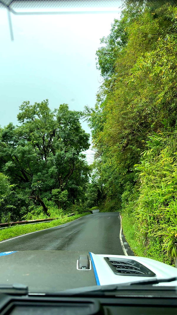 abigailwhhitee image ~ Altpins