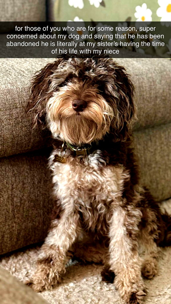 abigailwhhitee image ~ Altpins