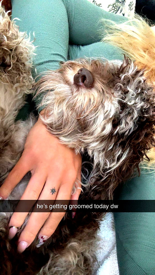 abigailwhhitee image ~ Altpins