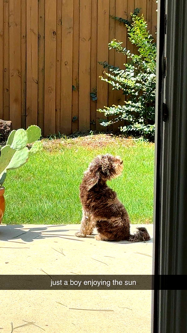 abigailwhhitee image ~ Altpins