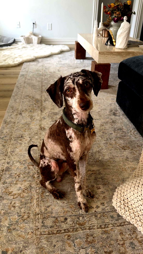 abigailwhhitee image ~ Altpins