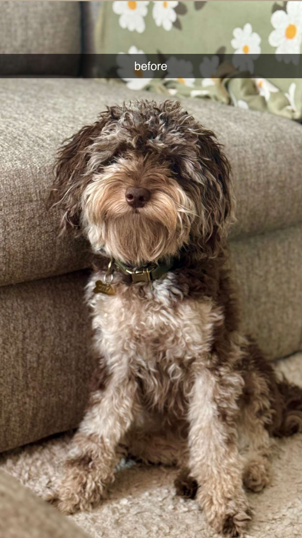 abigailwhhitee snapchat image archive image