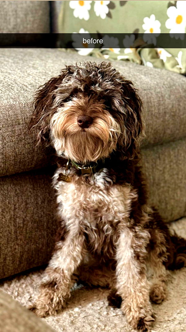 abigailwhhitee image ~ Altpins