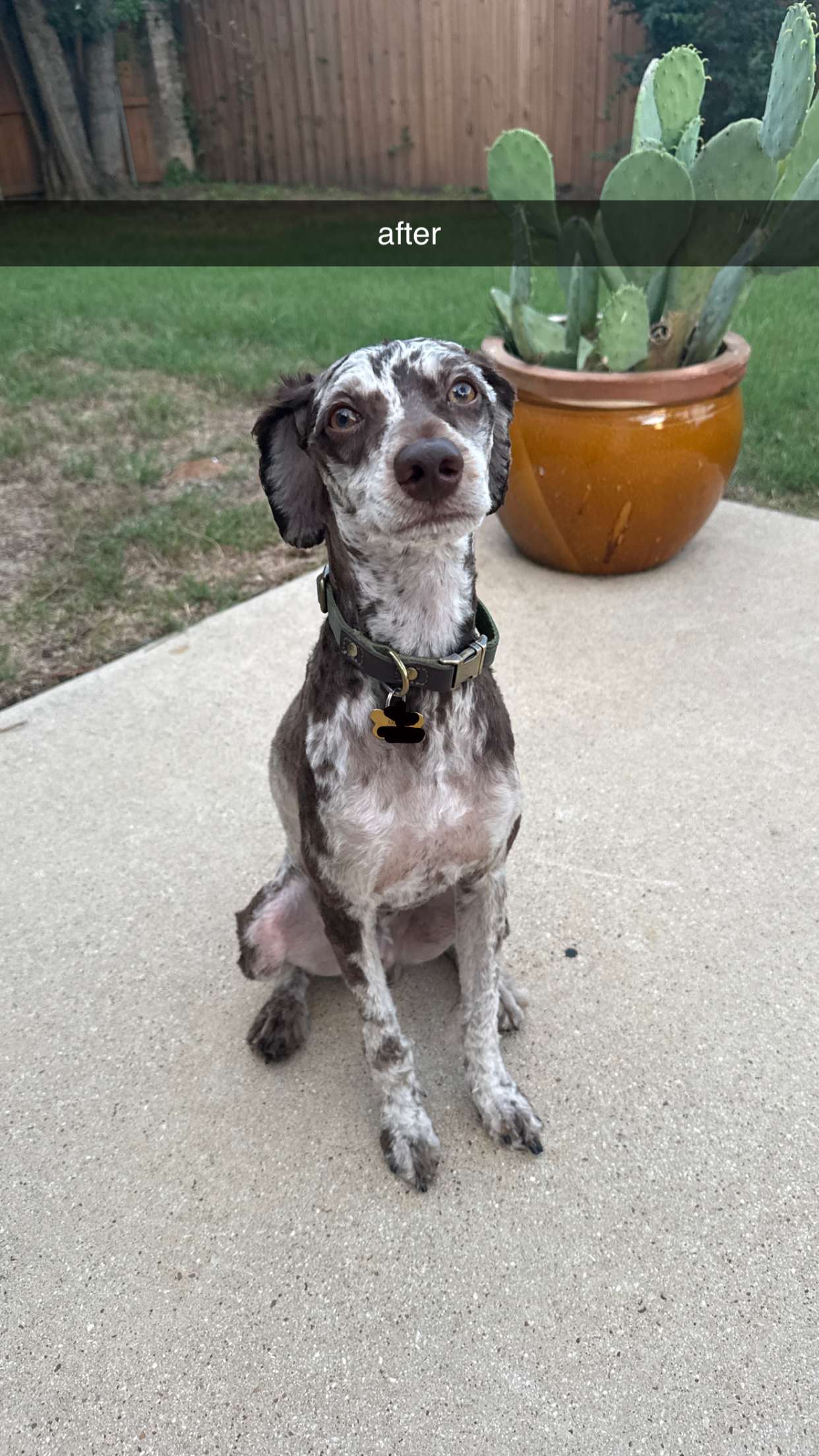 abigailwhhitee snapchat image archive image