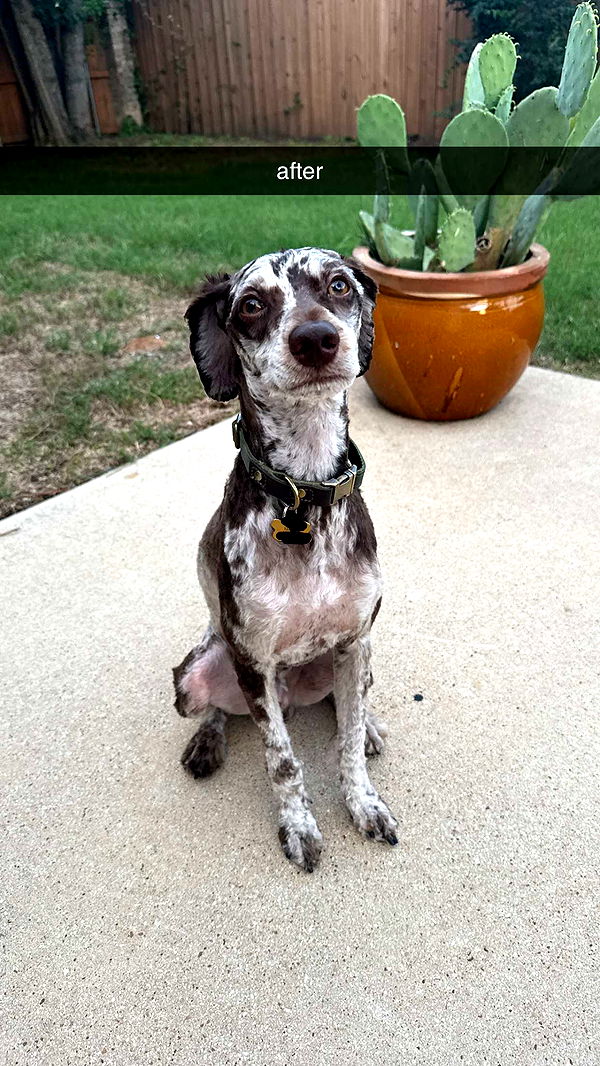 abigailwhhitee image ~ Altpins