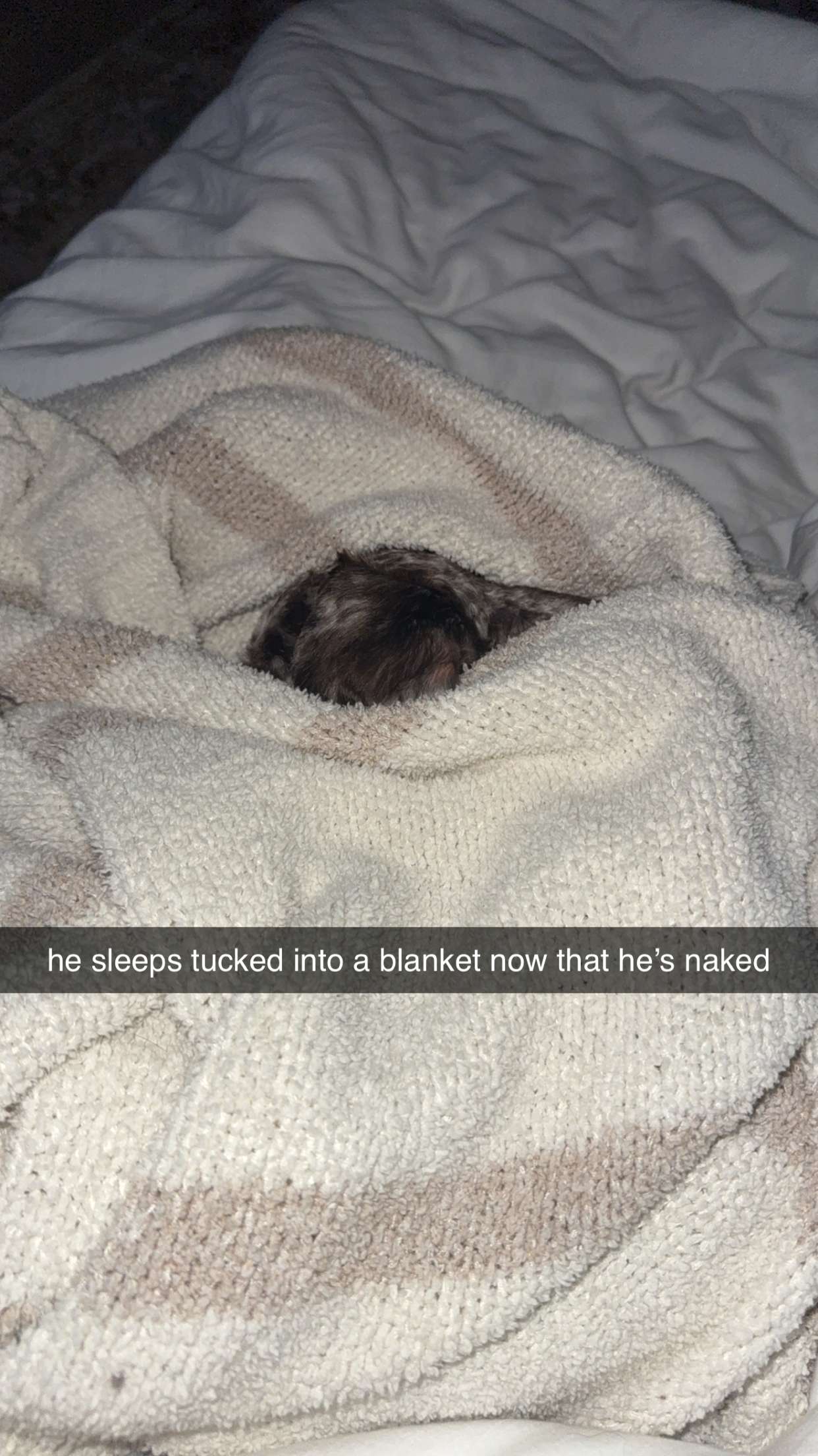 abigailwhhitee snapchat image archive image