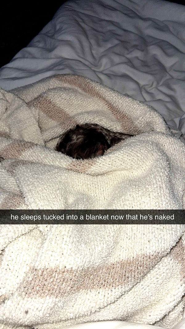 abigailwhhitee image ~ Altpins