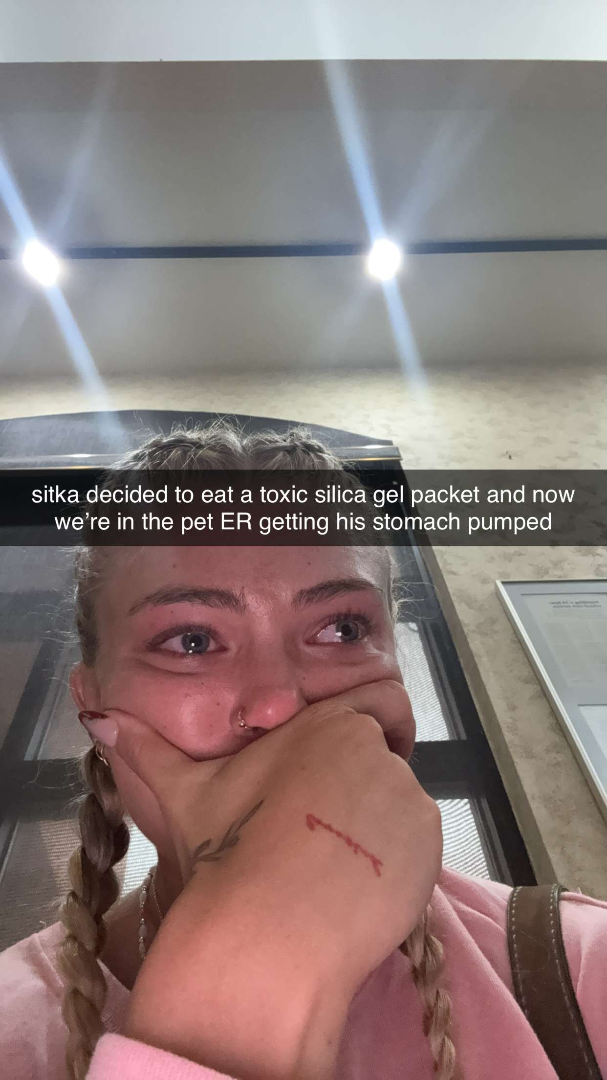 abigailwhhitee snapchat image archive image