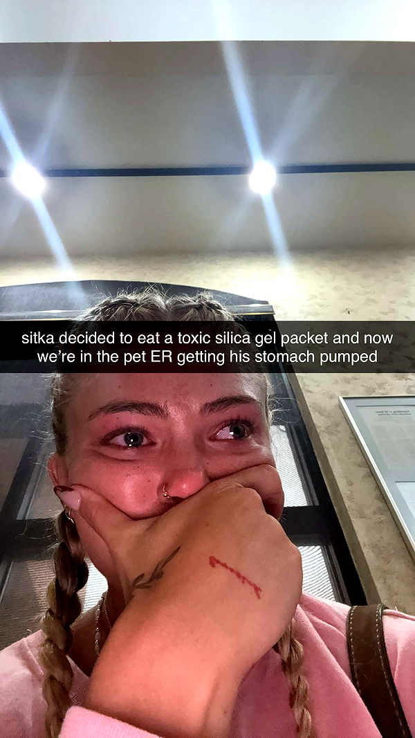 abigailwhhitee image ~ Altpins