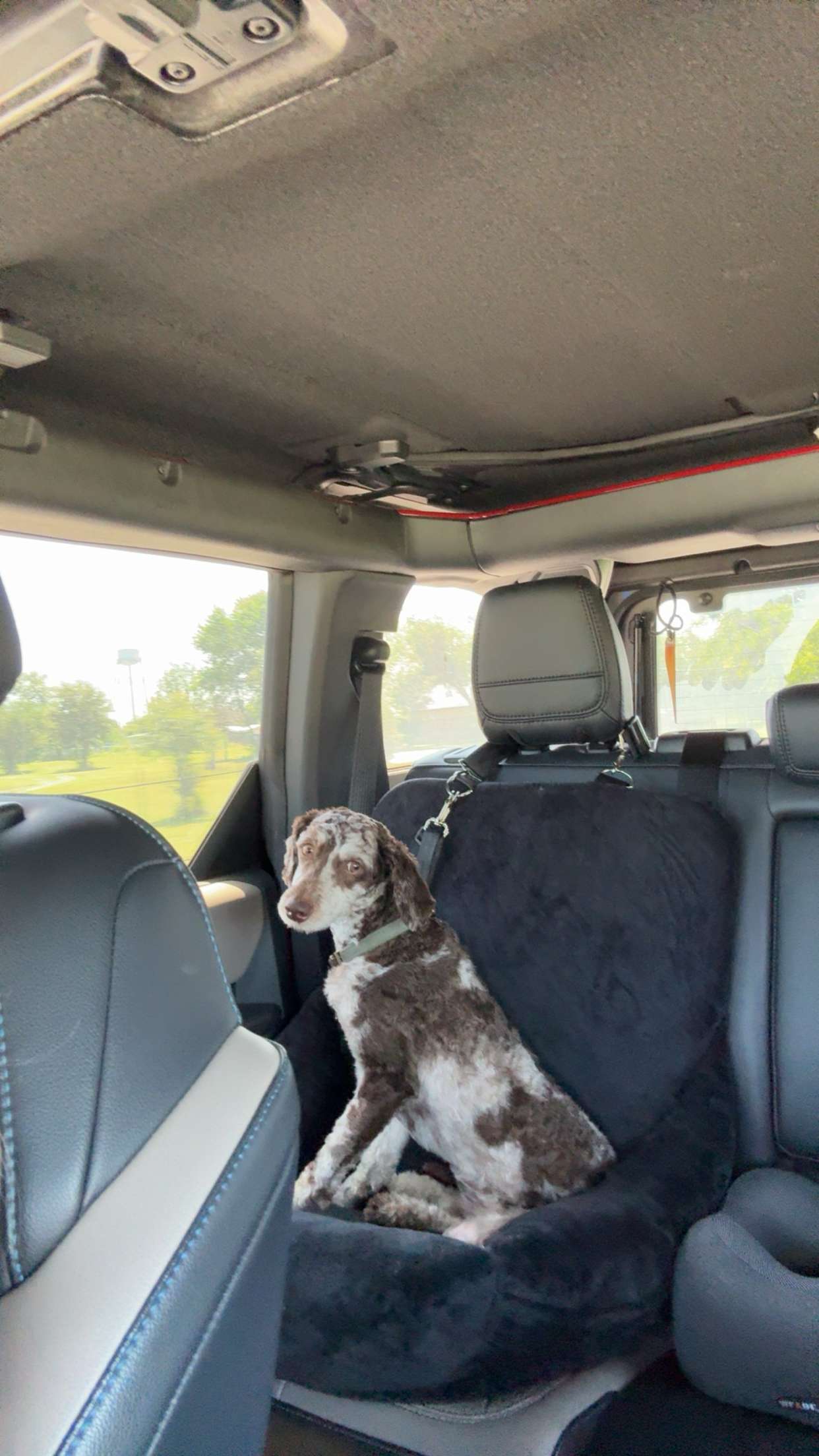 abigailwhhitee snapchat image archive image