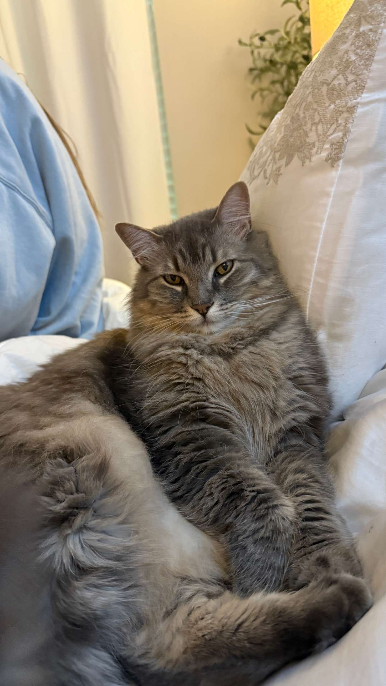 abigailwhhitee snapchat image archive image