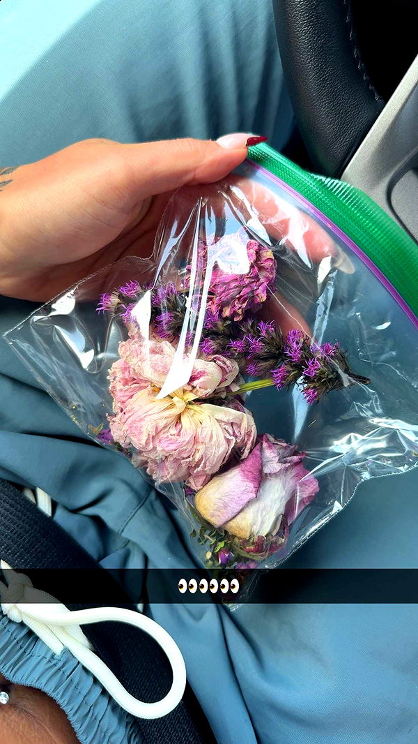 abigailwhhitee image ~ Altpins