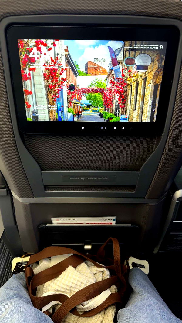 abigailwhhitee image ~ Altpins