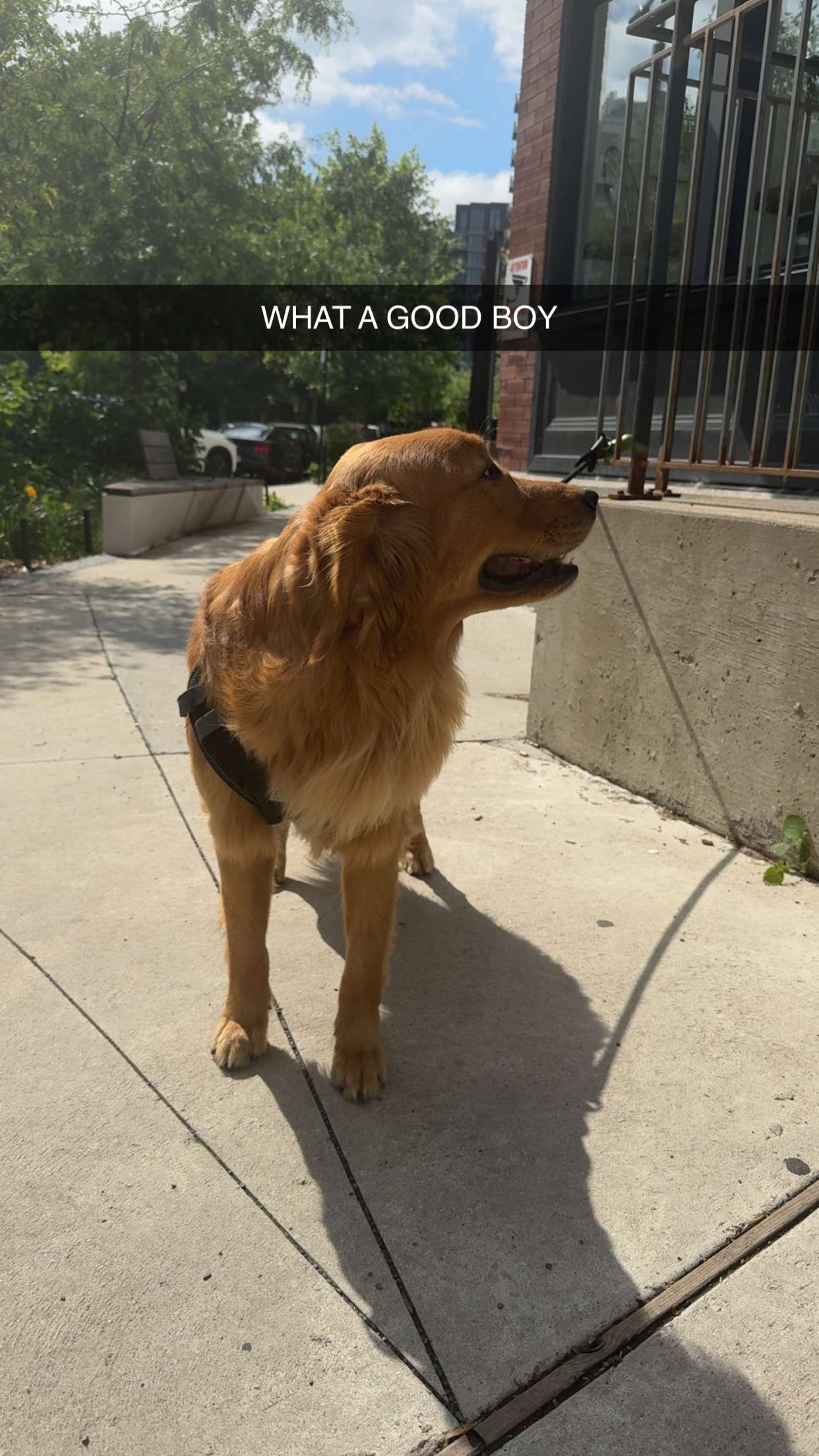 abigailwhhitee snapchat image archive image