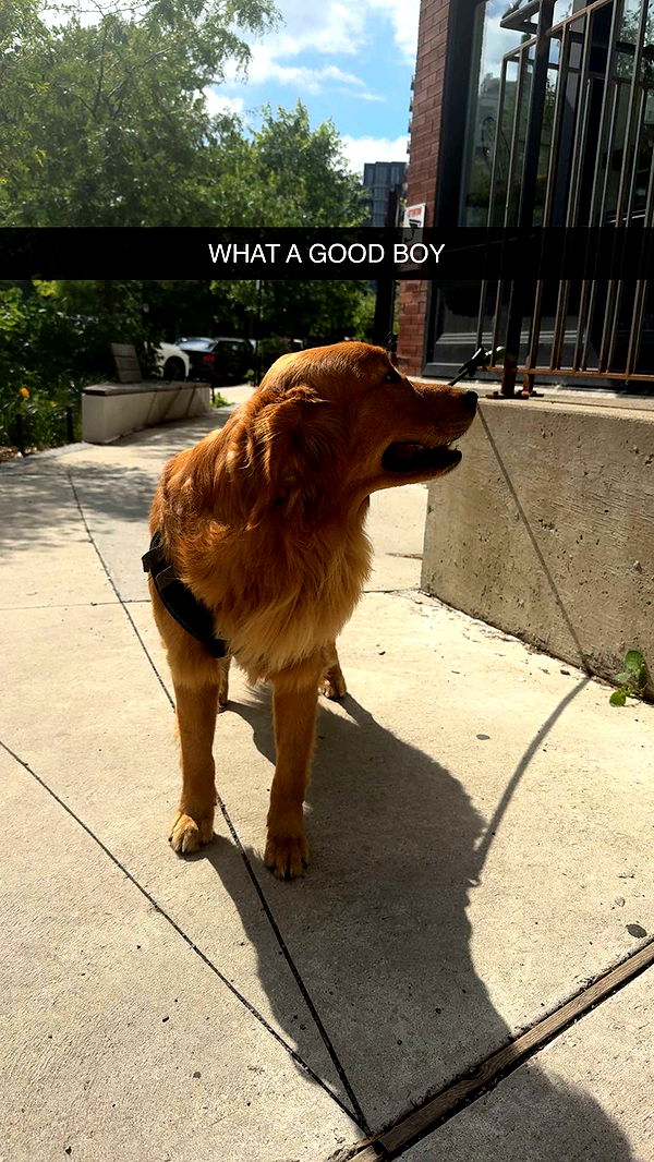 abigailwhhitee image ~ Altpins