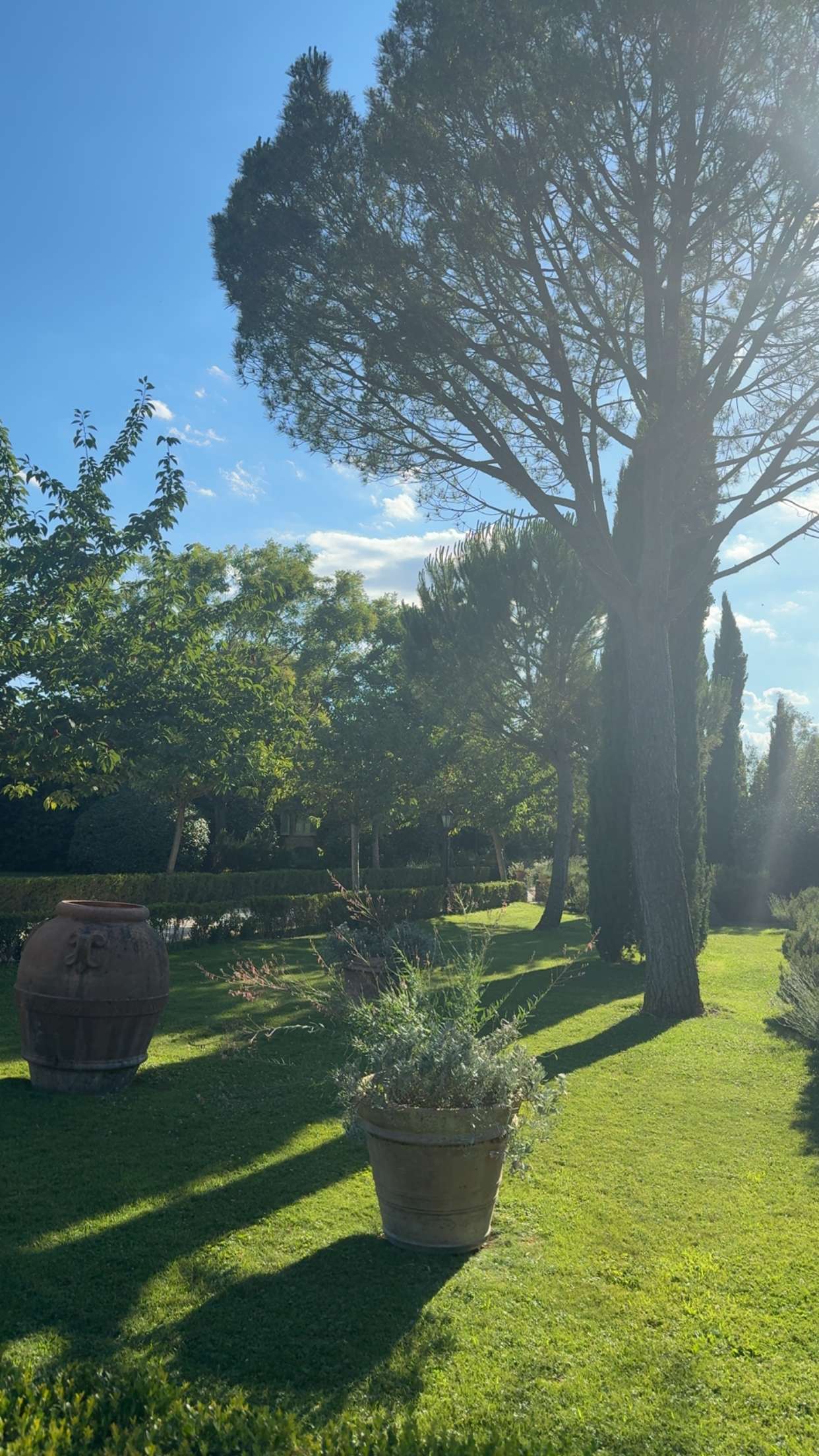 abigailwhhitee snapchat image archive image