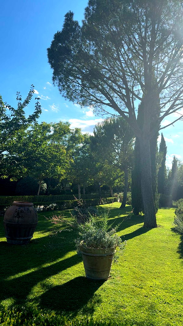 abigailwhhitee image ~ Altpins