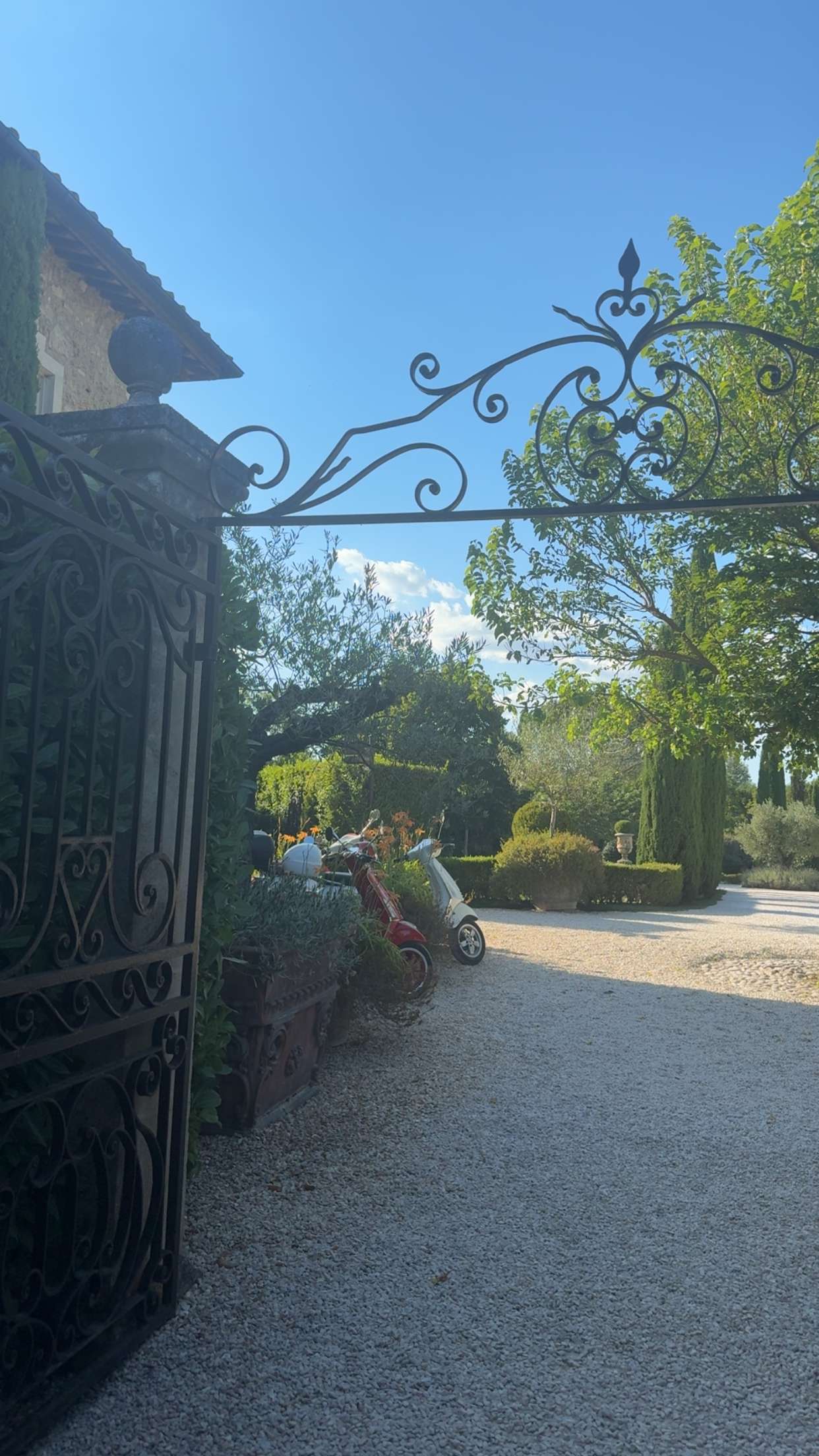 abigailwhhitee snapchat image archive image