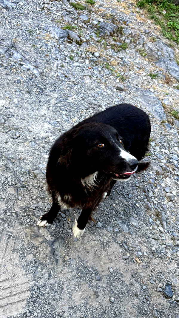 abigailwhhitee image ~ Altpins