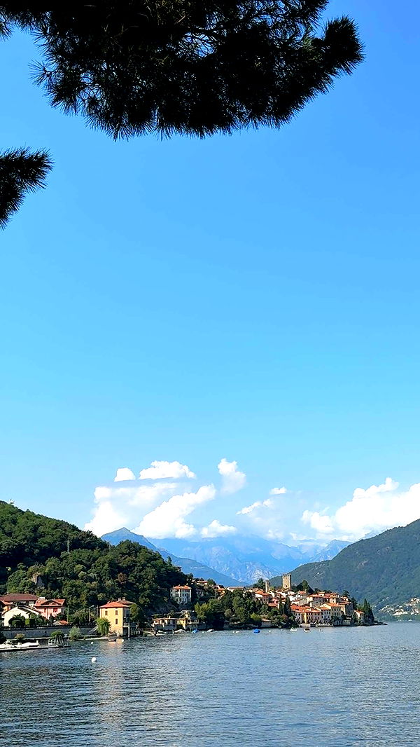 abigailwhhitee image ~ Altpins