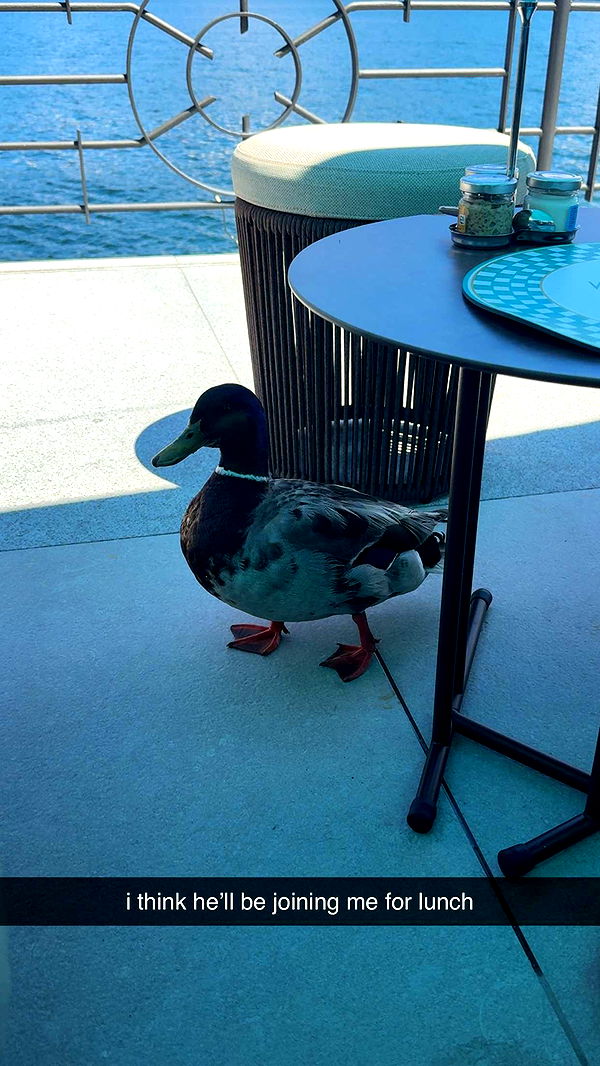 abigailwhhitee image ~ Altpins