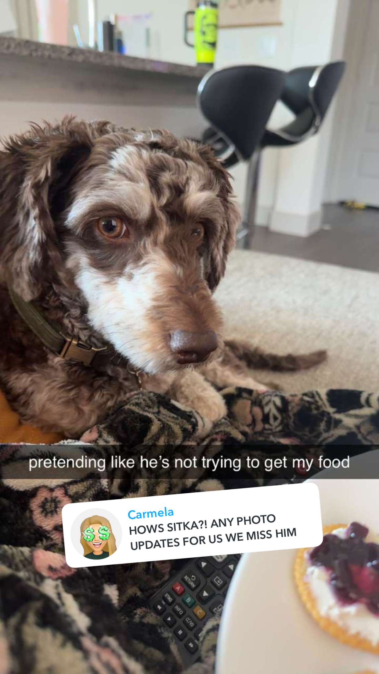 abigailwhhitee snapchat image archive image