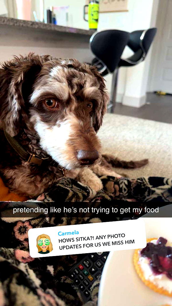 abigailwhhitee image ~ Altpins