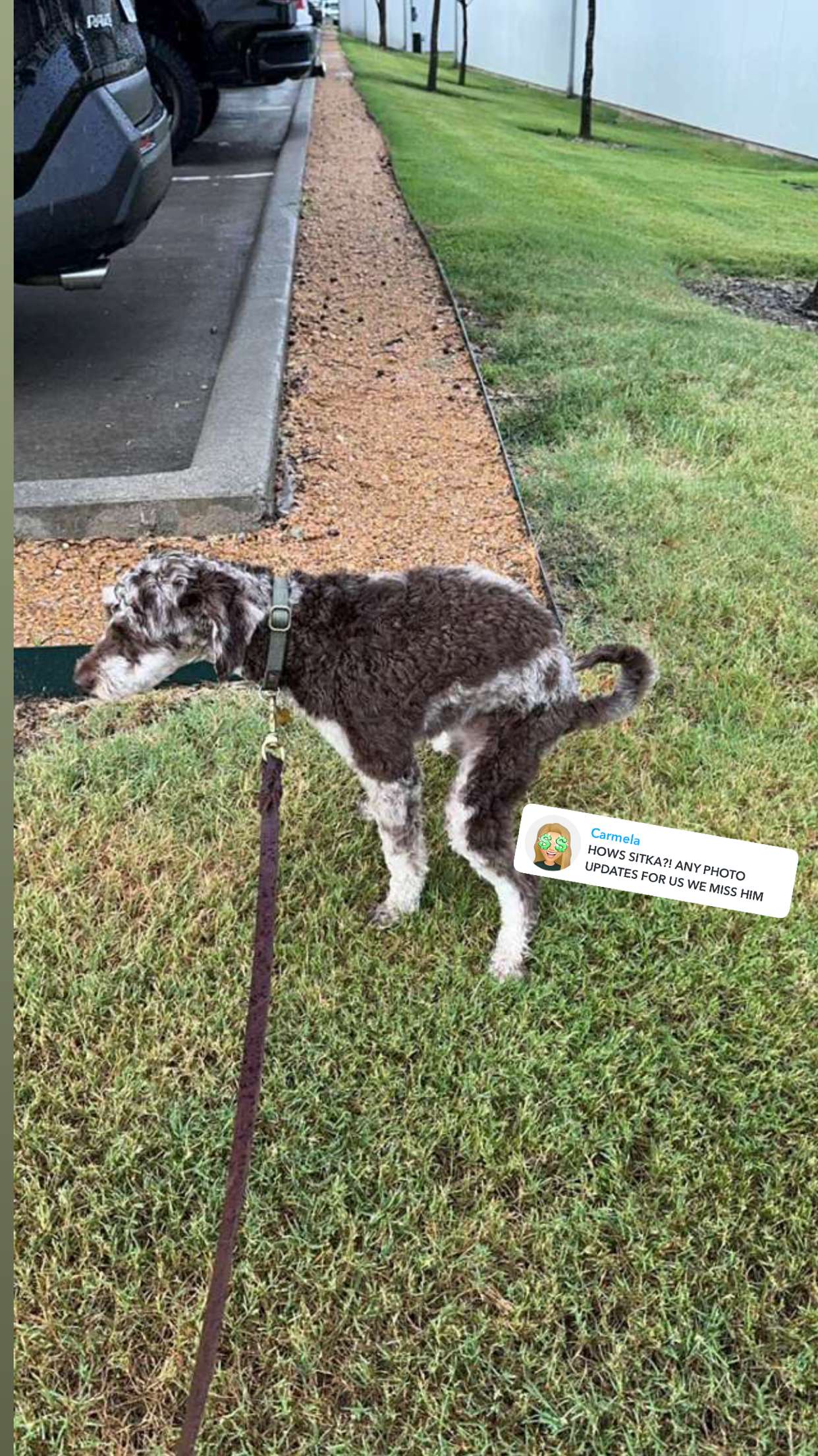 abigailwhhitee snapchat image archive image