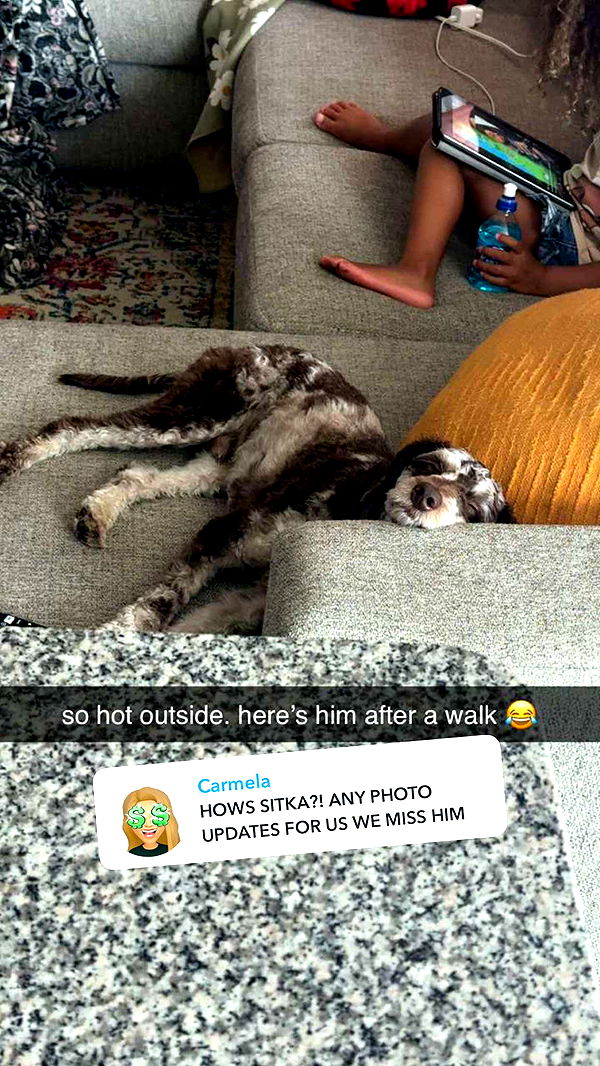 abigailwhhitee image ~ Altpins