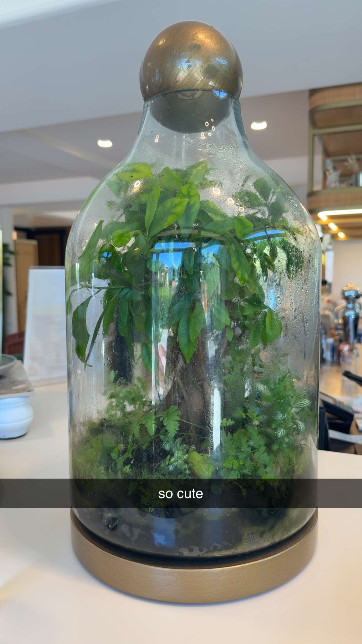 abigailwhhitee snapchat image archive image