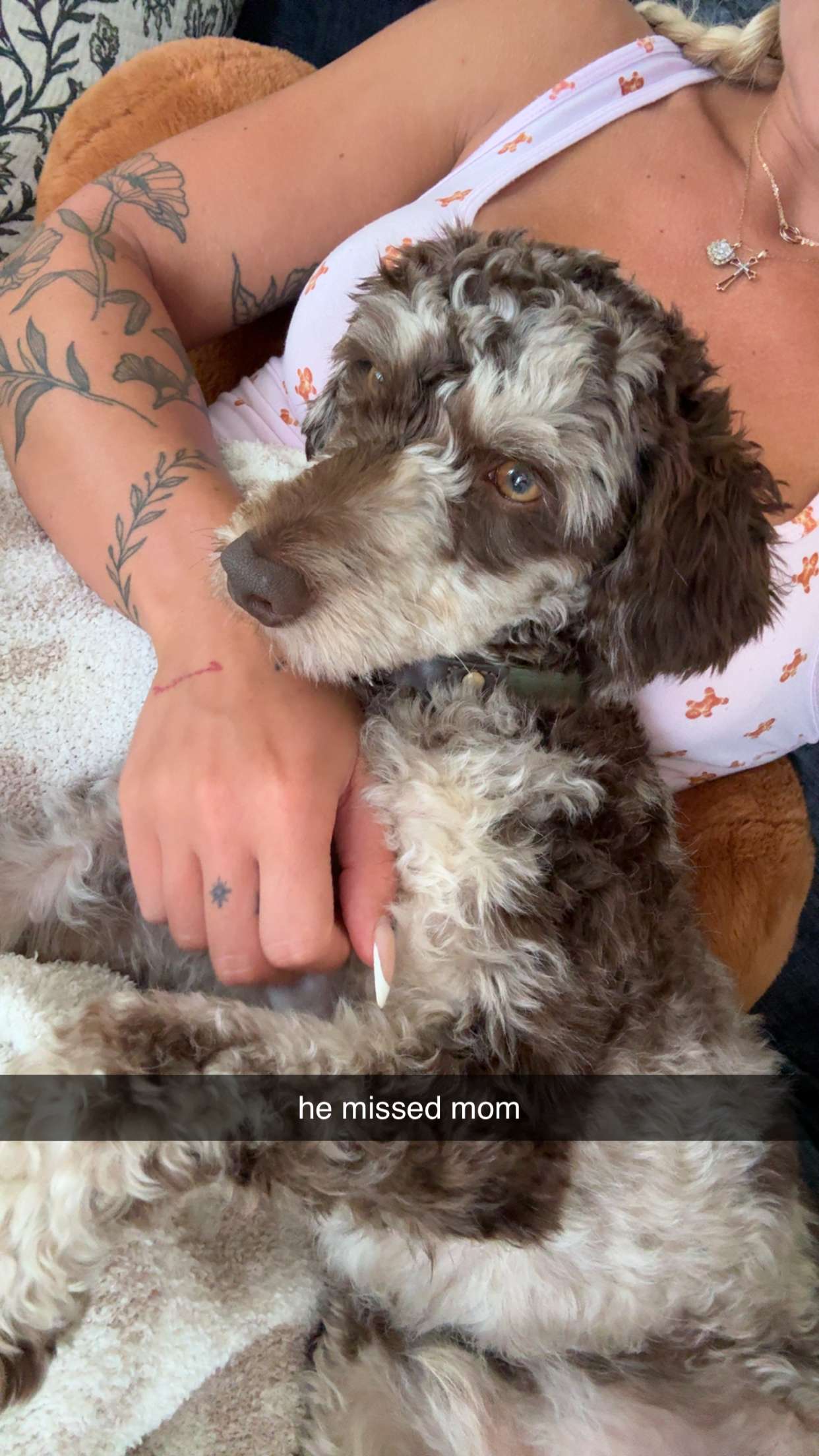 abigailwhhitee snapchat image archive image