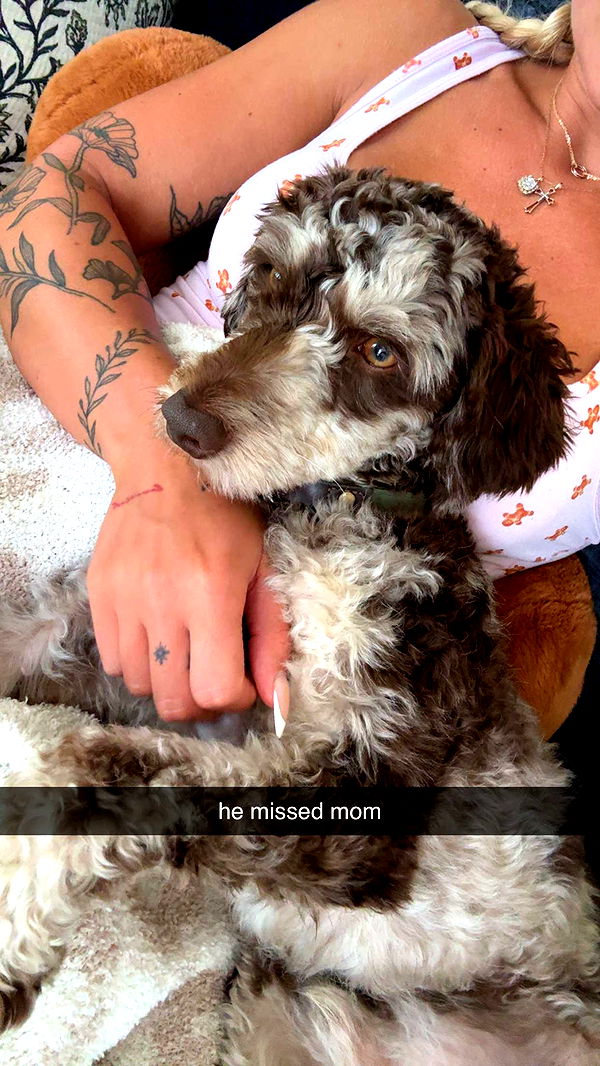 abigailwhhitee image ~ Altpins