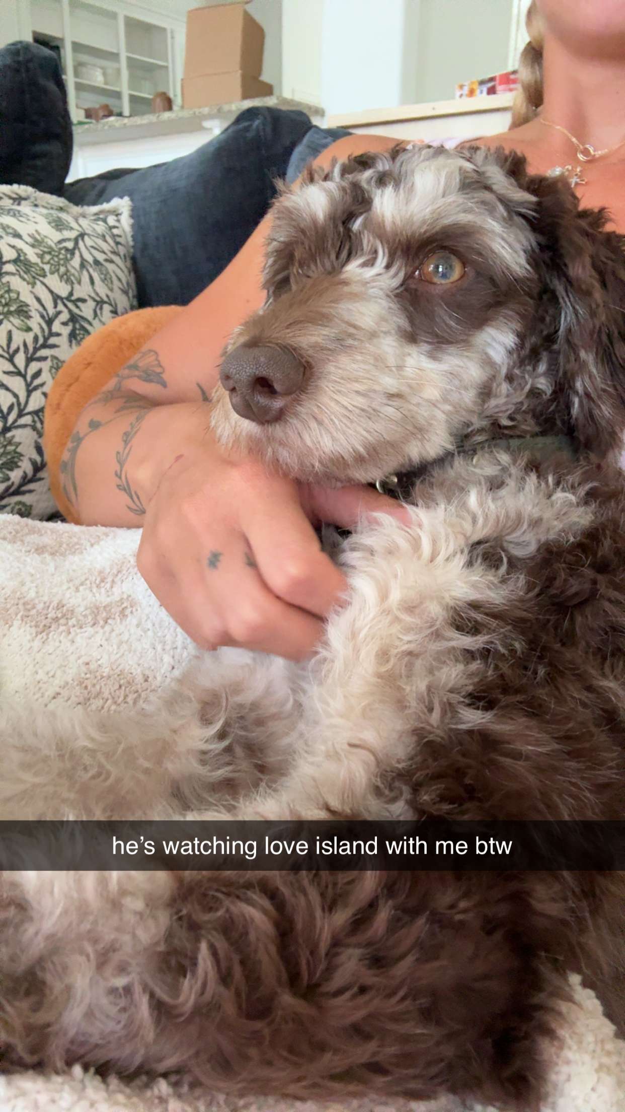 abigailwhhitee snapchat image archive image