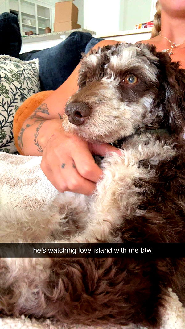 abigailwhhitee image ~ Altpins