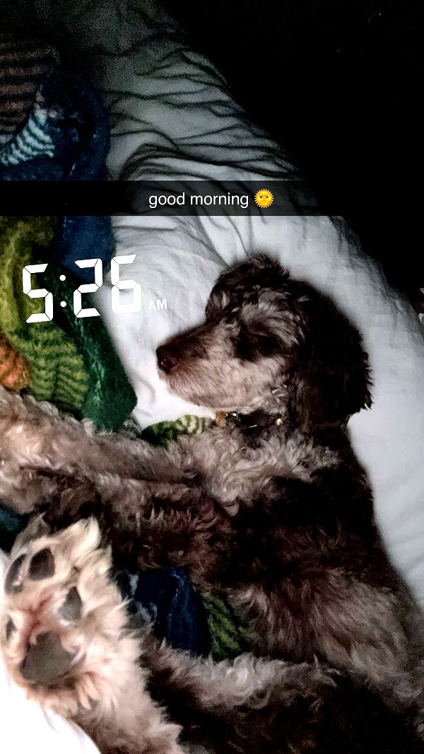 abigailwhhitee image ~ Altpins