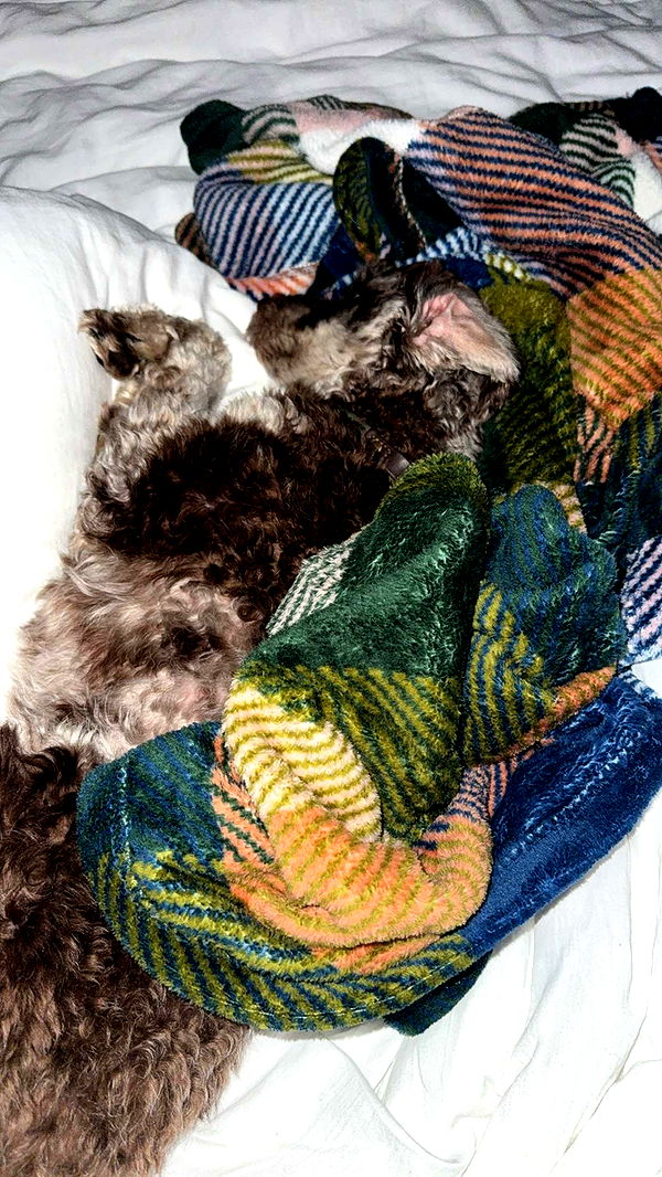 abigailwhhitee image ~ Altpins