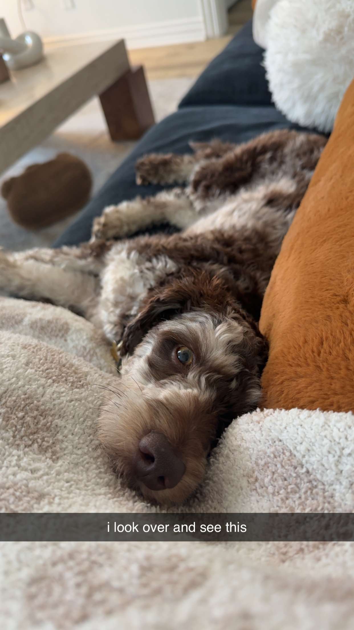 abigailwhhitee snapchat image archive image