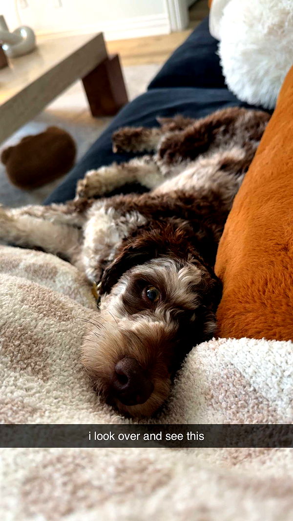 abigailwhhitee image ~ Altpins