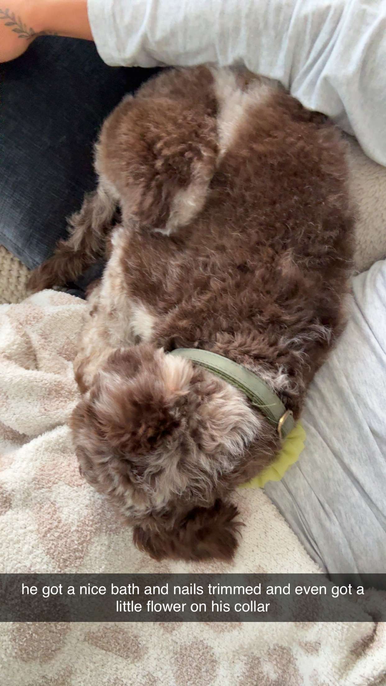 abigailwhhitee snapchat image archive image